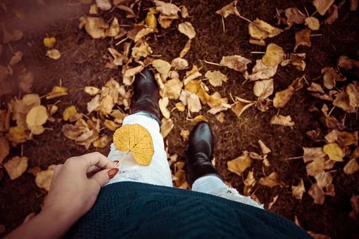 autumn-993762__340